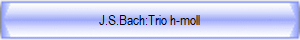 J.S.Bach:Trio h-moll