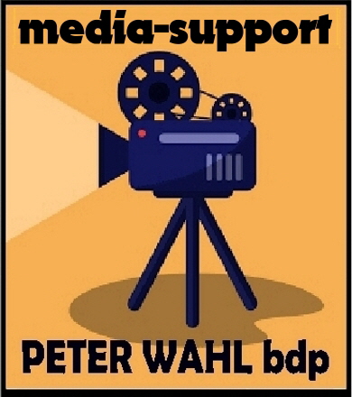 Z-Logo-media-support-390x440